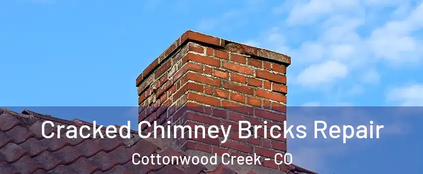 Cracked Chimney Bricks Repair Cottonwood Creek - CO