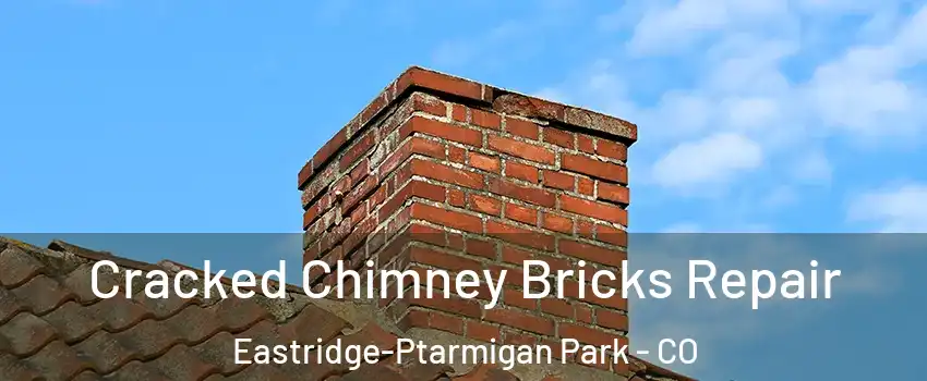 Cracked Chimney Bricks Repair Eastridge-Ptarmigan Park - CO
