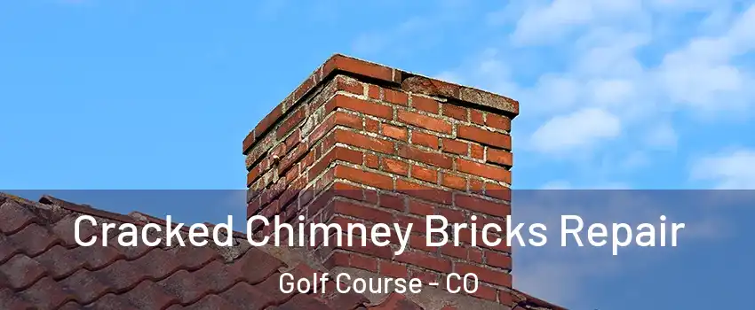 Cracked Chimney Bricks Repair Golf Course - CO