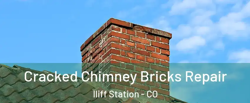 Cracked Chimney Bricks Repair Iliff Station - CO