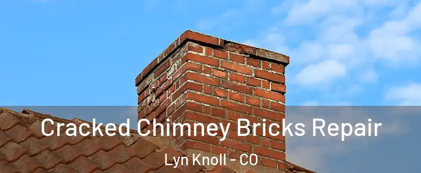 Cracked Chimney Bricks Repair Lyn Knoll - CO