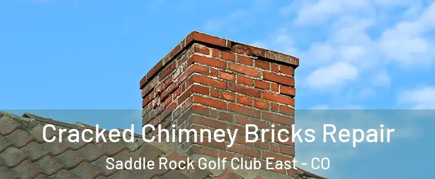 Cracked Chimney Bricks Repair Saddle Rock Golf Club East - CO