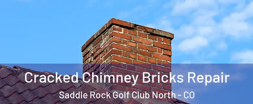 Cracked Chimney Bricks Repair Saddle Rock Golf Club North - CO