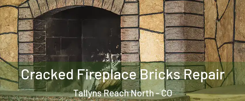 Cracked Fireplace Bricks Repair Tallyns Reach North - CO