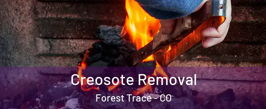 Creosote Removal Forest Trace - CO