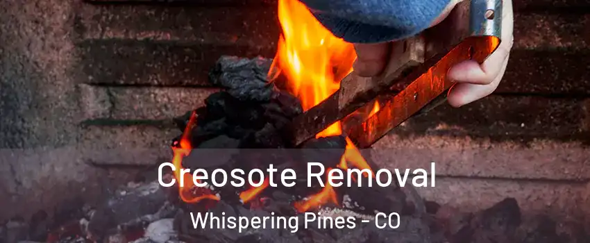 Creosote Removal Whispering Pines - CO