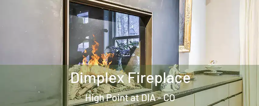 Dimplex Fireplace High Point at DIA - CO