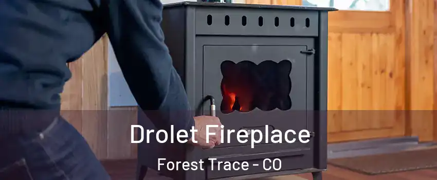 Drolet Fireplace Forest Trace - CO