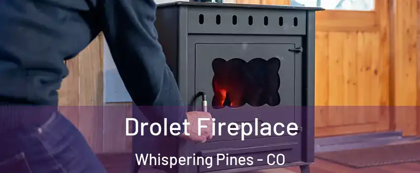 Drolet Fireplace Whispering Pines - CO