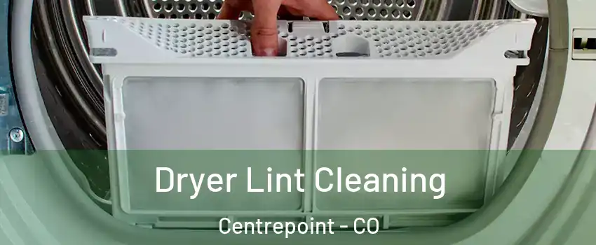 Dryer Lint Cleaning Centrepoint - CO