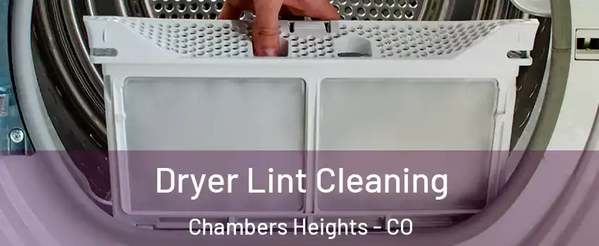 Dryer Lint Cleaning Chambers Heights - CO