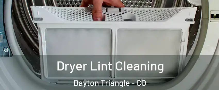 Dryer Lint Cleaning Dayton Triangle - CO