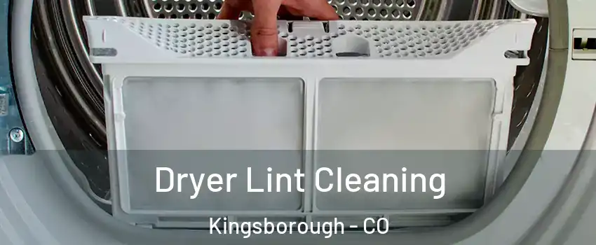 Dryer Lint Cleaning Kingsborough - CO