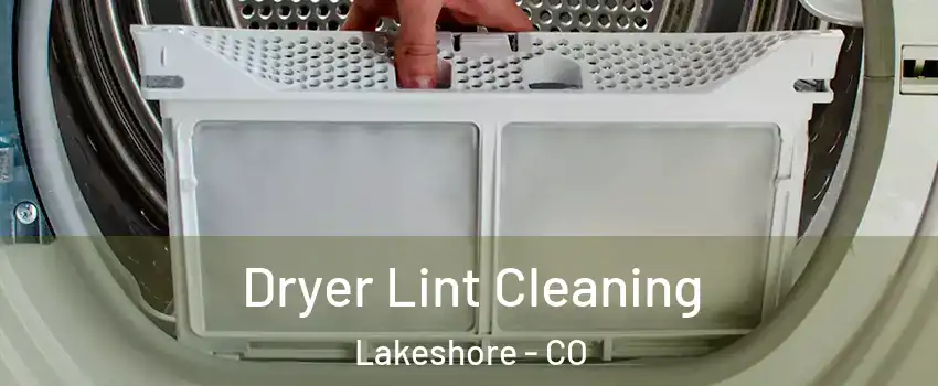 Dryer Lint Cleaning Lakeshore - CO
