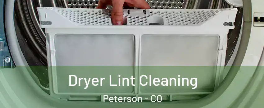 Dryer Lint Cleaning Peterson - CO