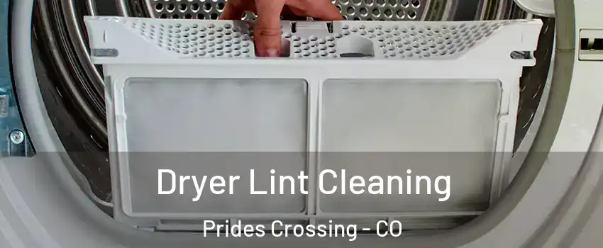 Dryer Lint Cleaning Prides Crossing - CO