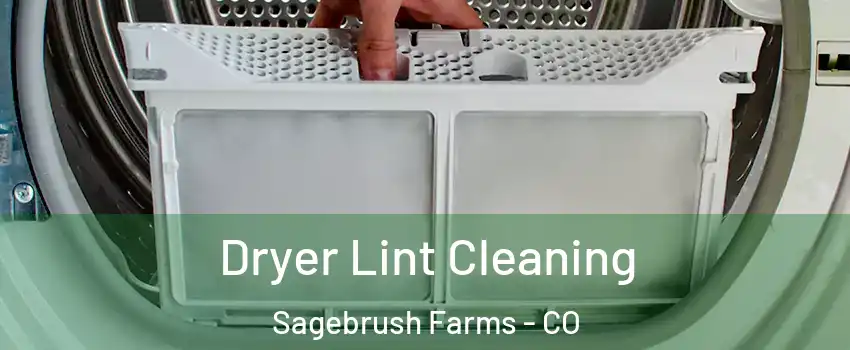 Dryer Lint Cleaning Sagebrush Farms - CO