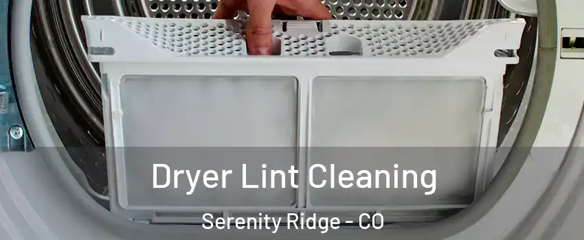 Dryer Lint Cleaning Serenity Ridge - CO