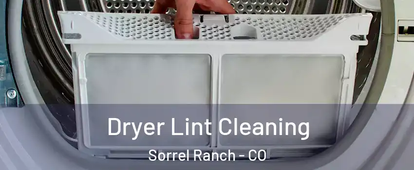 Dryer Lint Cleaning Sorrel Ranch - CO