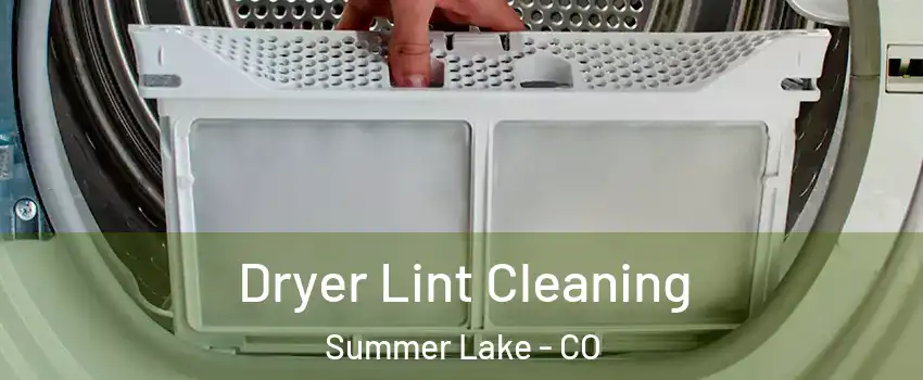 Dryer Lint Cleaning Summer Lake - CO