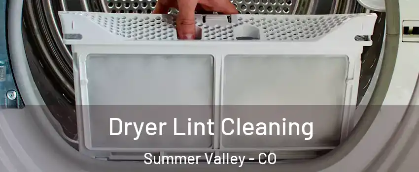 Dryer Lint Cleaning Summer Valley - CO