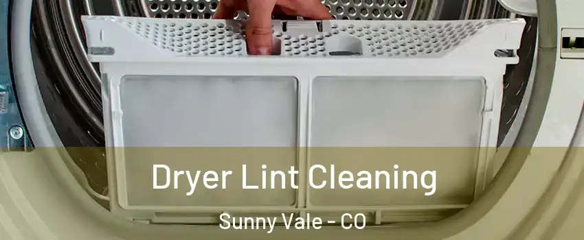 Dryer Lint Cleaning Sunny Vale - CO