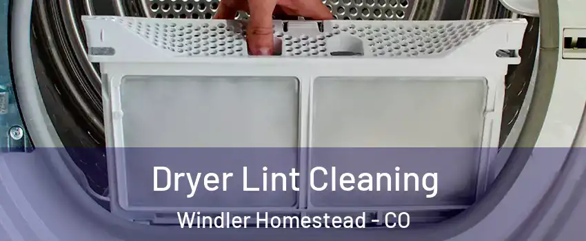 Dryer Lint Cleaning Windler Homestead - CO