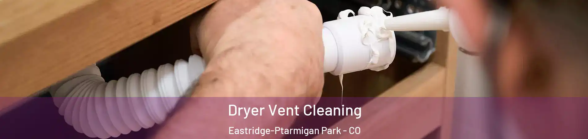 Dryer Vent Cleaning Eastridge-Ptarmigan Park - CO