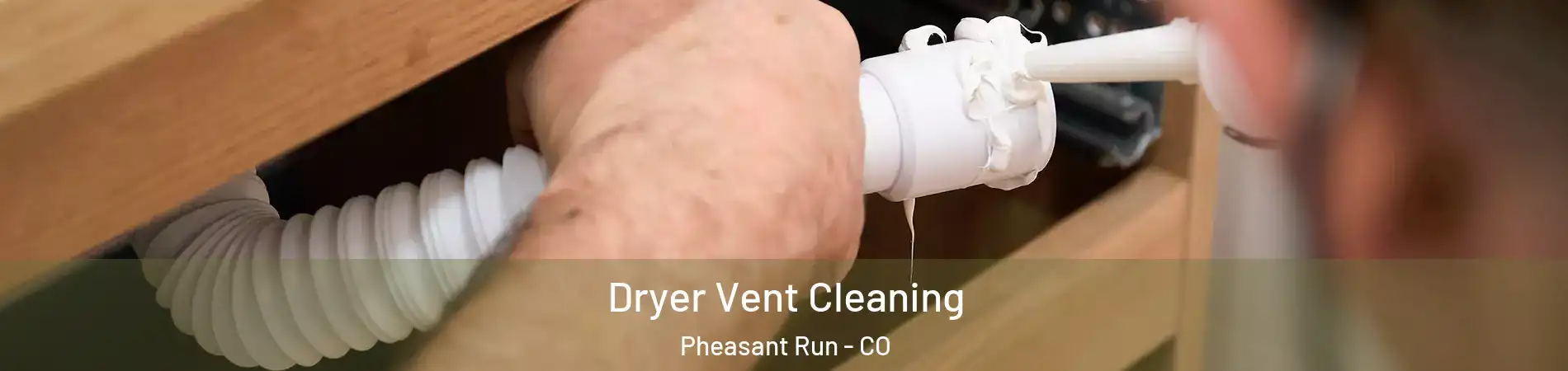 Dryer Vent Cleaning Pheasant Run - CO