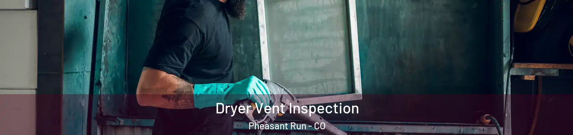 Dryer Vent Inspection Pheasant Run - CO