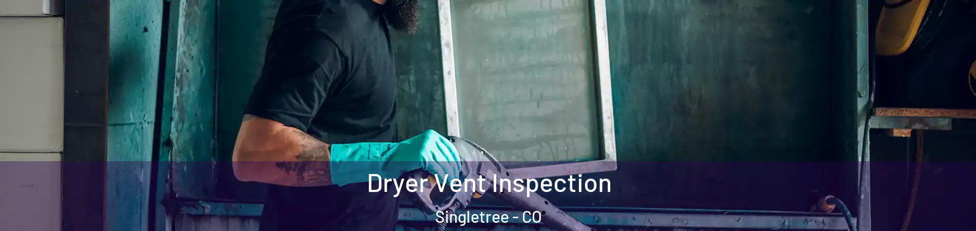 Dryer Vent Inspection Singletree - CO