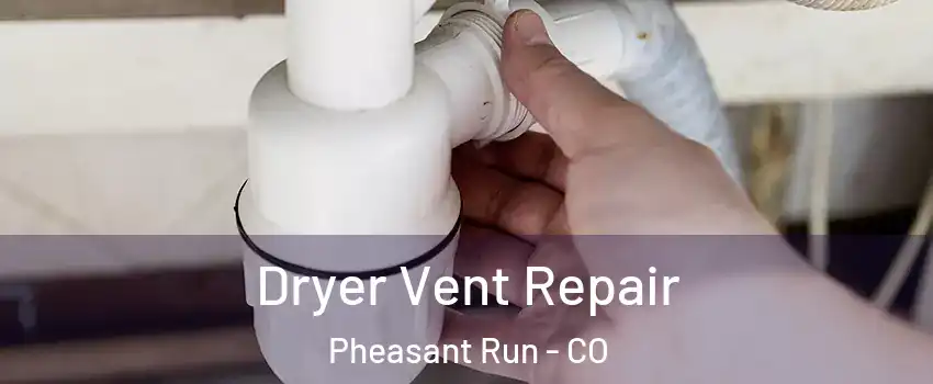 Dryer Vent Repair Pheasant Run - CO