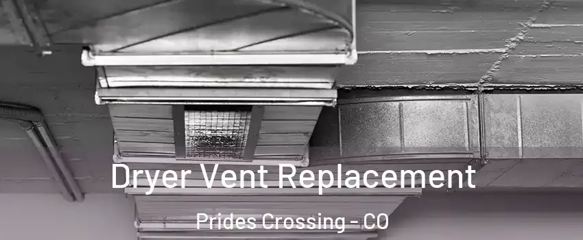 Dryer Vent Replacement Prides Crossing - CO