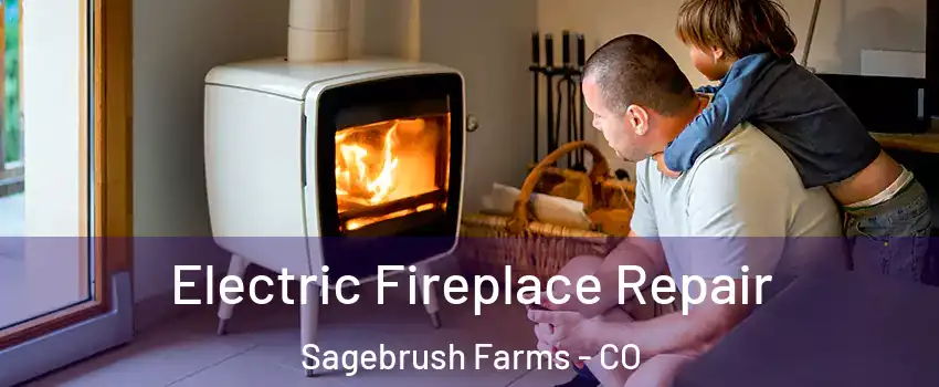 Electric Fireplace Repair Sagebrush Farms - CO