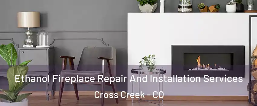 Ethanol Fireplace Repair And Installation Services Cross Creek - CO