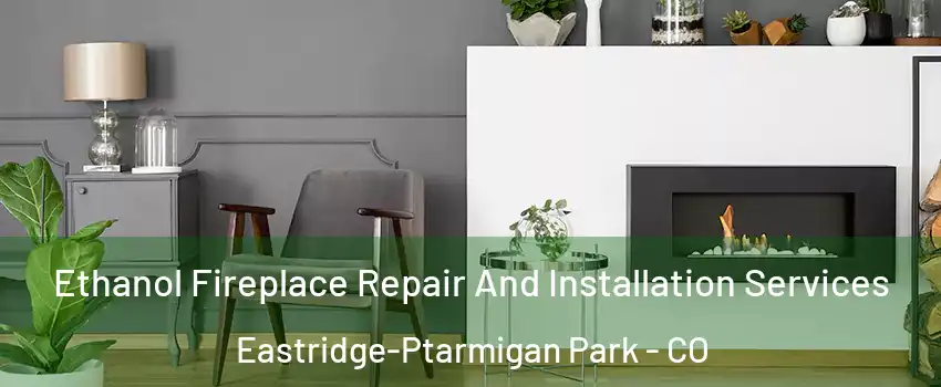 Ethanol Fireplace Repair And Installation Services Eastridge-Ptarmigan Park - CO