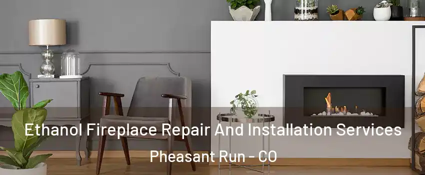 Ethanol Fireplace Repair And Installation Services Pheasant Run - CO