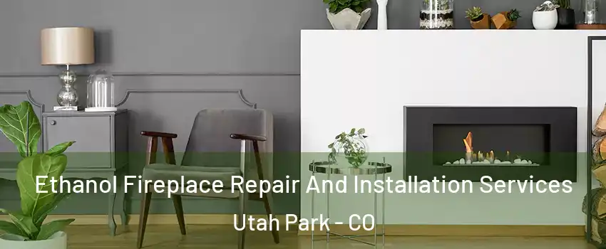 Ethanol Fireplace Repair And Installation Services Utah Park - CO