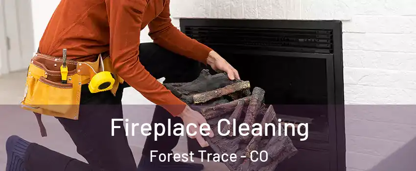 Fireplace Cleaning Forest Trace - CO