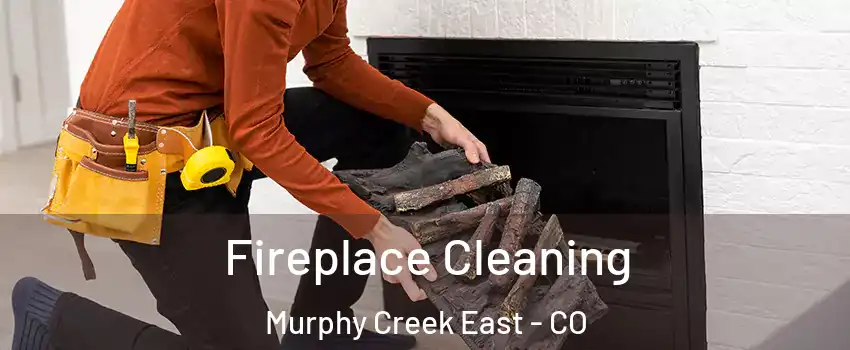 Fireplace Cleaning Murphy Creek East - CO