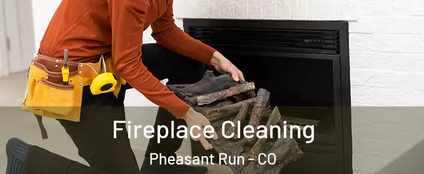 Fireplace Cleaning Pheasant Run - CO