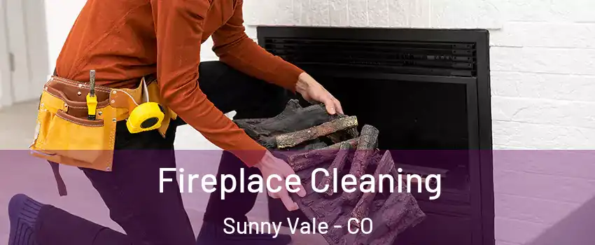 Fireplace Cleaning Sunny Vale - CO