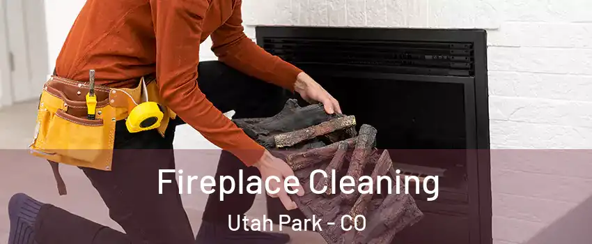 Fireplace Cleaning Utah Park - CO