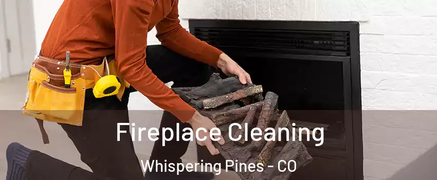Fireplace Cleaning Whispering Pines - CO