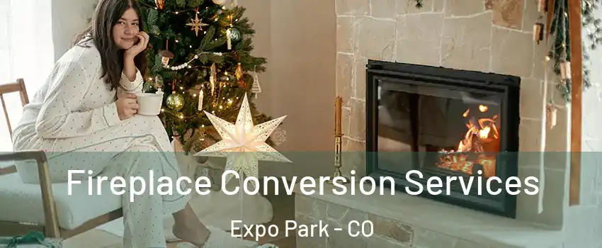 Fireplace Conversion Services Expo Park - CO