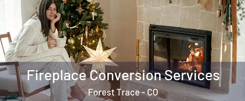 Fireplace Conversion Services Forest Trace - CO