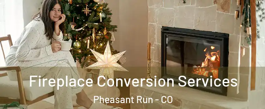 Fireplace Conversion Services Pheasant Run - CO