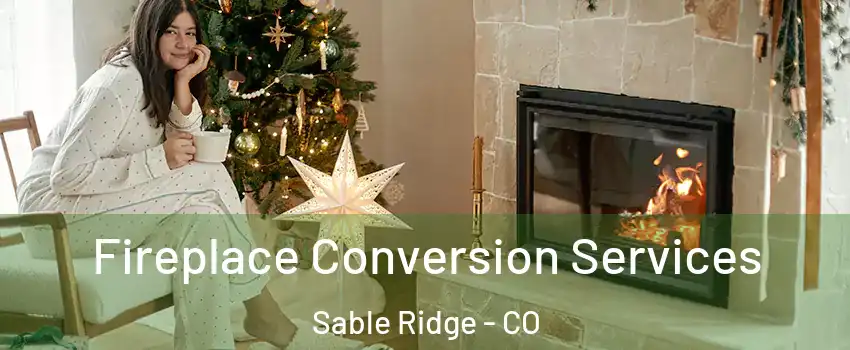 Fireplace Conversion Services Sable Ridge - CO