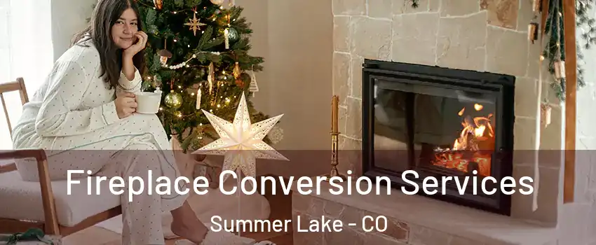 Fireplace Conversion Services Summer Lake - CO