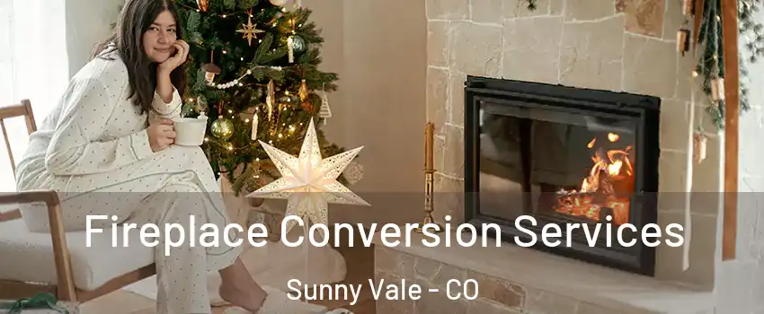 Fireplace Conversion Services Sunny Vale - CO